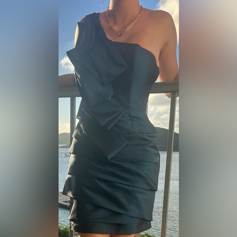A stunning form fitting dress with an elegant neckline + sultry bold silhouette - Picture 6 of 14